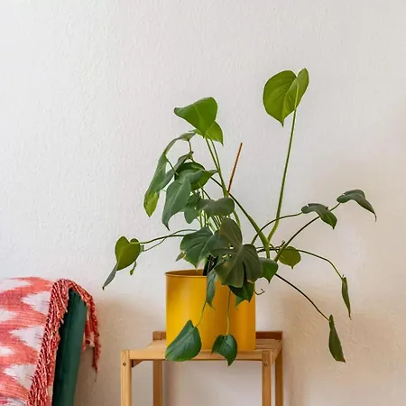 Next - Free Parking&wifi - Badewanne Apartament *