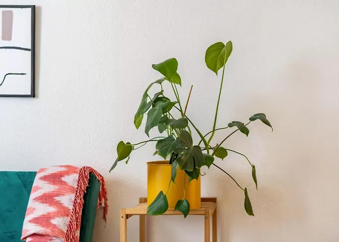 Next - Free Parking&wifi - Badewanne Apartament *